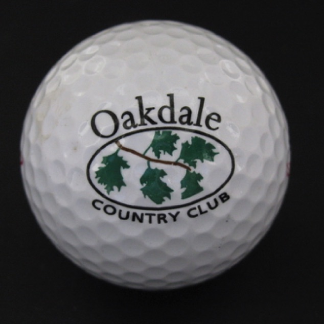 Oakdale G & C C (Thompson, Homeniuk)
Downsview, ON
2010, 2012, 2014 Oakdale G & C C (Thompson, Homeniuk)
Downsview, ON
2010, 2012, 2014